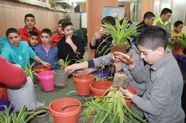 60 نبتة منقية للجو في مؤسسة الإمام الهادي (ع) للإعاقة السمعية والبصرية